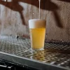 Top All in One Beer Brewing Machines Compared