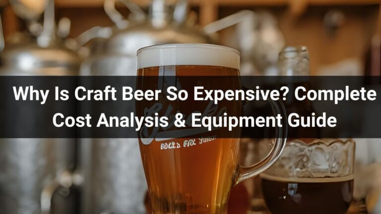 Why Is Craft Beer So Expensive Complete Cost Analysis Equipment 